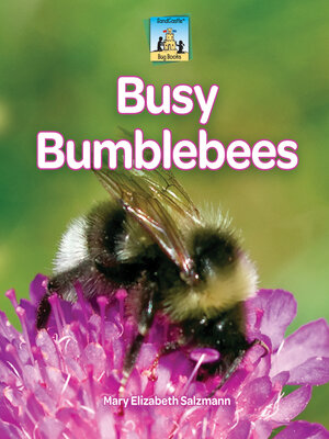 cover image of Busy Bumblebees